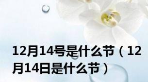 12月14号是什么节（12月14日是什么节）