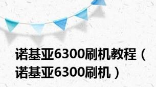 诺基亚6300刷机教程（诺基亚6300刷机）