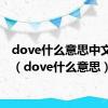 dove什么意思中文翻译（dove什么意思）