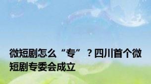 微短剧怎么“专”？四川首个微短剧专委会成立