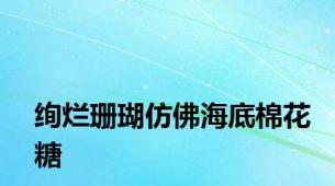 绚烂珊瑚仿佛海底棉花糖