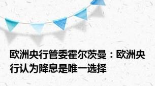 欧洲央行管委霍尔茨曼：欧洲央行认为降息是唯一选择