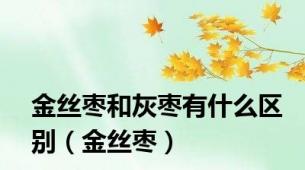 金丝枣和灰枣有什么区别（金丝枣）