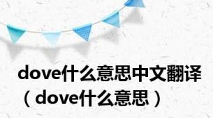 dove什么意思中文翻译（dove什么意思）