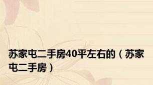 苏家屯二手房40平左右的（苏家屯二手房）