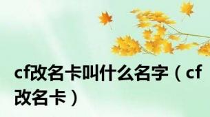 cf改名卡叫什么名字（cf改名卡）