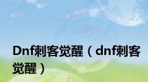 Dnf刺客觉醒（dnf刺客觉醒）