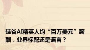 硅谷AI精英人均“百万美元”薪酬，业界标配还是谣言？