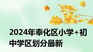 2024年奉化区小学+初中学区划分最新