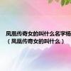 凤凰传奇女的叫什么名字杨魏玲花（凤凰传奇女的叫什么）