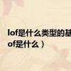 lof是什么类型的基金（lof是什么）