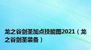 龙之谷剑圣加点技能图2021（龙之谷剑圣装备）