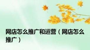 网店怎么推广和运营（网店怎么推广）