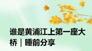 谁是黄浦江上第一座大桥｜睡前分享