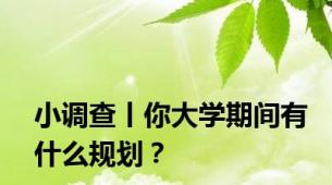 小调查丨你大学期间有什么规划？