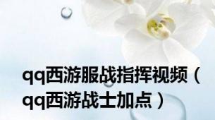 qq西游服战指挥视频（qq西游战士加点）