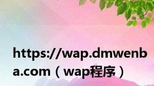 https://wap.dmwenba.com（wap程序）