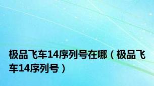 极品飞车14序列号在哪（极品飞车14序列号）