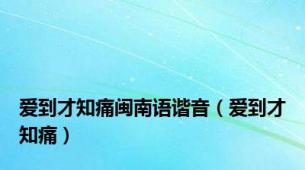 爱到才知痛闽南语谐音（爱到才知痛）