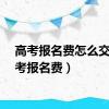 高考报名费怎么交（高考报名费）