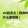 str的含义（程序中str是什么意思啊）