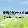 疼痛之轮wheel of pain（bdsmtube）