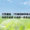 江苏灌南：7万亩错峰养殖小龙虾上市供不应求 小龙虾一天卖出4万斤