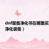 dnf装备净化书在哪里买（dnf净化装备）