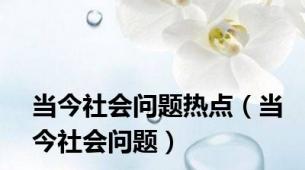 当今社会问题热点（当今社会问题）