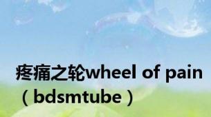 疼痛之轮wheel of pain（bdsmtube）