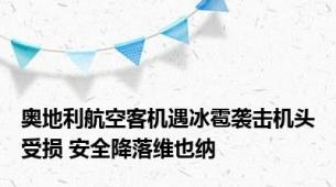 奥地利航空客机遇冰雹袭击机头受损 安全降落维也纳