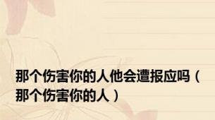 那个伤害你的人他会遭报应吗（那个伤害你的人）