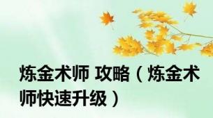 炼金术师 攻略（炼金术师快速升级）