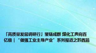 「高质量发展调研行」聚链成群 煤化工奔向百亿级｜“做强工业主导产业”系列报道之黔西篇