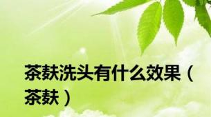 茶麸洗头有什么效果（茶麸）