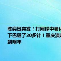 陈奕迅突发！打网球中暑休克晕倒 下巴缝了30多针！重庆演唱会延期到明年