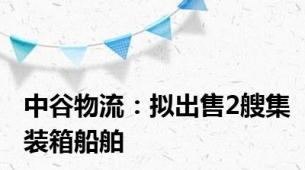 中谷物流：拟出售2艘集装箱船舶