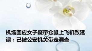 机场回应女子疑带仓鼠上飞机致延误：已被公安机关带走调查