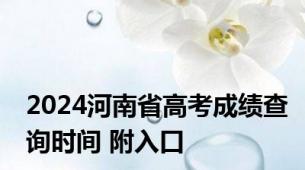 2024河南省高考成绩查询时间 附入口