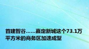 首建智谷……嘉定新城这个73.1万平方米的商务区加速成型