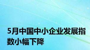 5月中国中小企业发展指数小幅下降