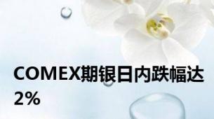 COMEX期银日内跌幅达2%