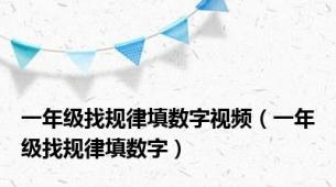 一年级找规律填数字视频（一年级找规律填数字）