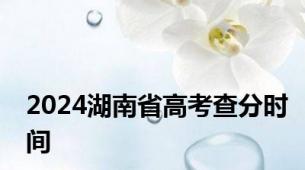 2024湖南省高考查分时间