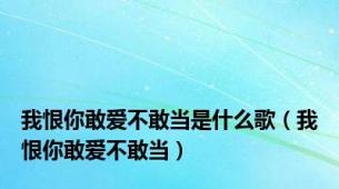 我恨你敢爱不敢当是什么歌（我恨你敢爱不敢当）