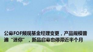 公募FOF频现基金经理变更，产品规模普遍“迷你”，新品启募也停滞近半个月