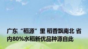 广东“稻源”里 稻香飘南北 省内80%水稻新优品种源自此