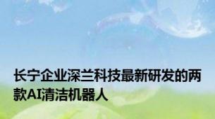 长宁企业深兰科技最新研发的两款AI清洁机器人