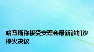 哈马斯称接受安理会最新涉加沙停火决议