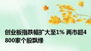 创业板指跌幅扩大至1% 两市超4800家个股飘绿